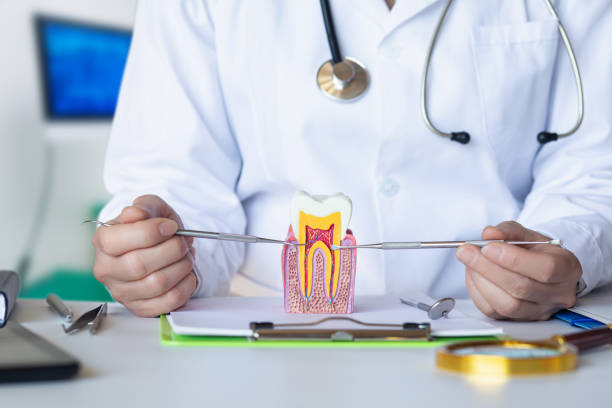 Best Emergency Cosmetic Dentistry (e.g., broken veneers) in Maryvle, IL